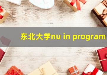 东北大学nu in program